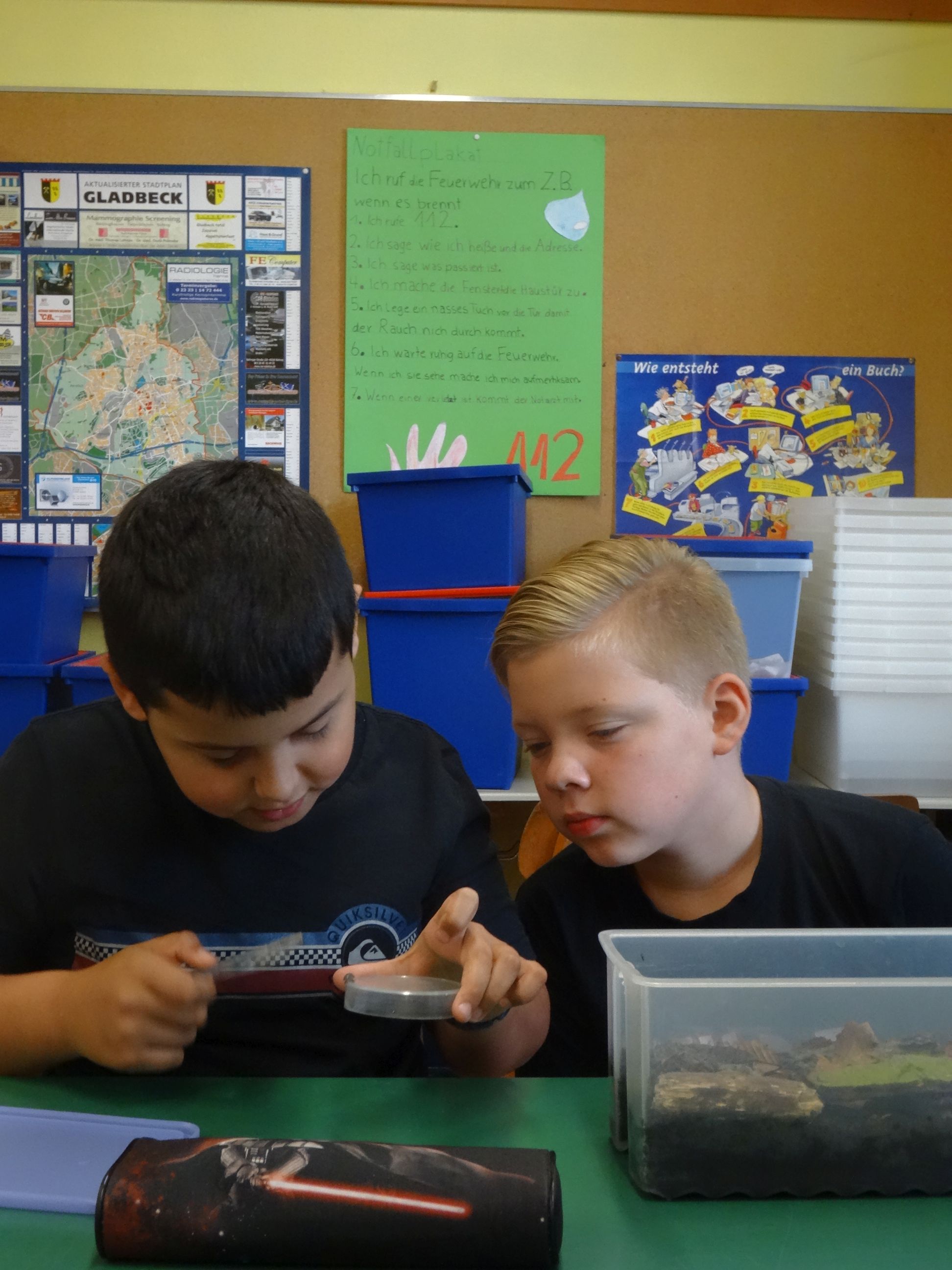 Die Klasse 4d im Assel-Fieber! – Pestalozzischule Gladbeck